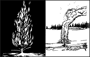 Figure 19-1. Tree Torch